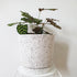 White Terrazzo Planters